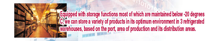 Equipped with storage functions (most of which are maintained below -20 degrees C, we can store a variety of products in its optimum environment in 3 refrigerated warehouses, based on the port, area of production and its distribution areas.
